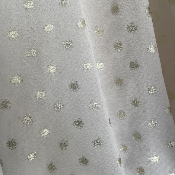 Ann Taylor Loft Sheer Sleeveless blouse XS - Picture 3 of 5